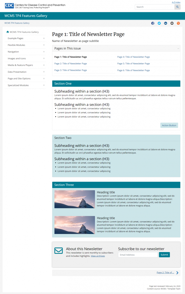 One-Page Newsletter with Card Sections