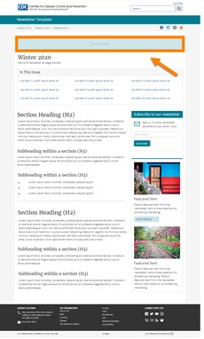 Visual element of newsletter