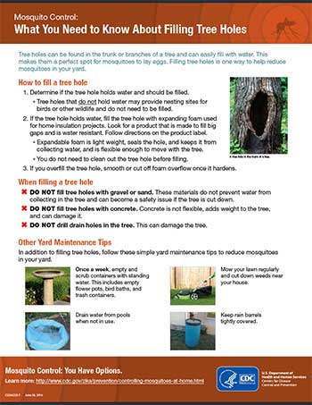 What you need to know about filling tree holes fact sheet thumbnail