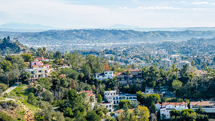 Aerial view of a tree-filled community on a clear, sunny day.