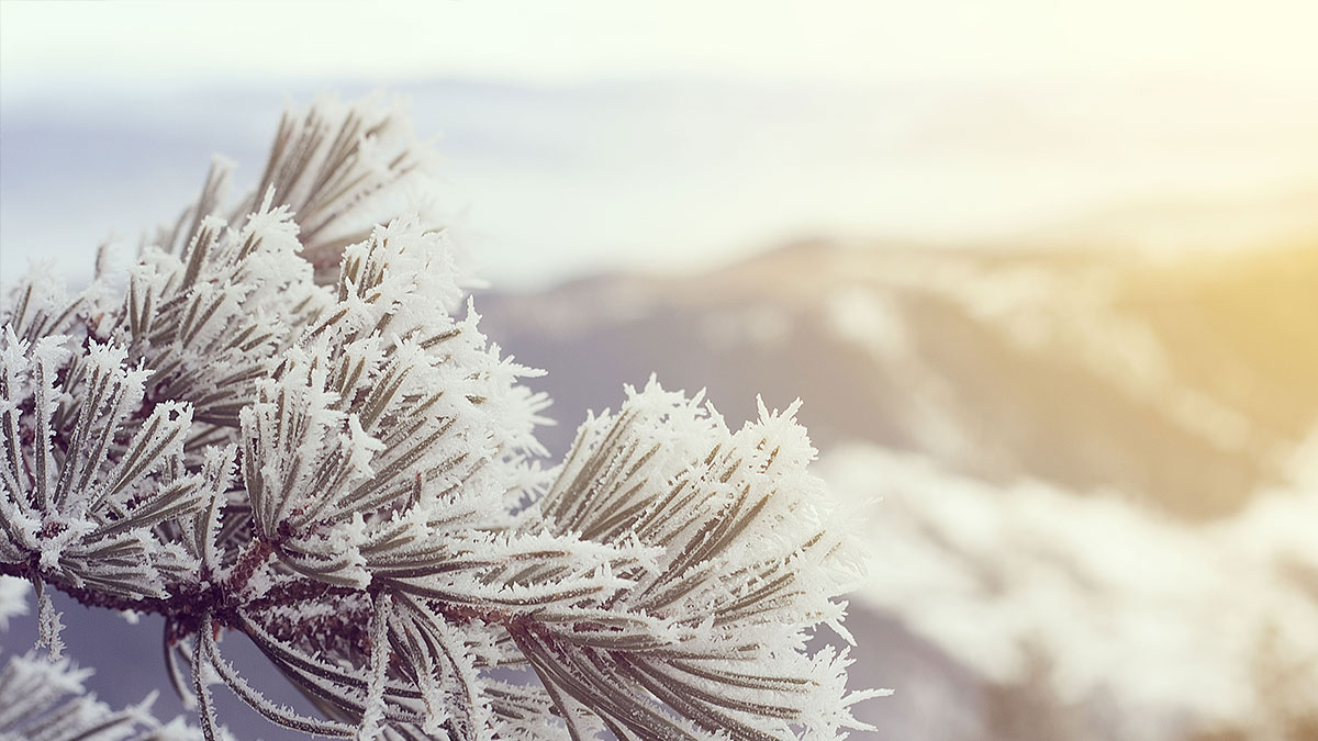 Stratosphere’s Early Warm-Up Could Jumble Winter’s Plans