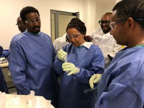 A group of microbiologists is removing slides with rabies tissue specimens for testing during training in Mekelle Public Health Laboratory in Ethiopia.
