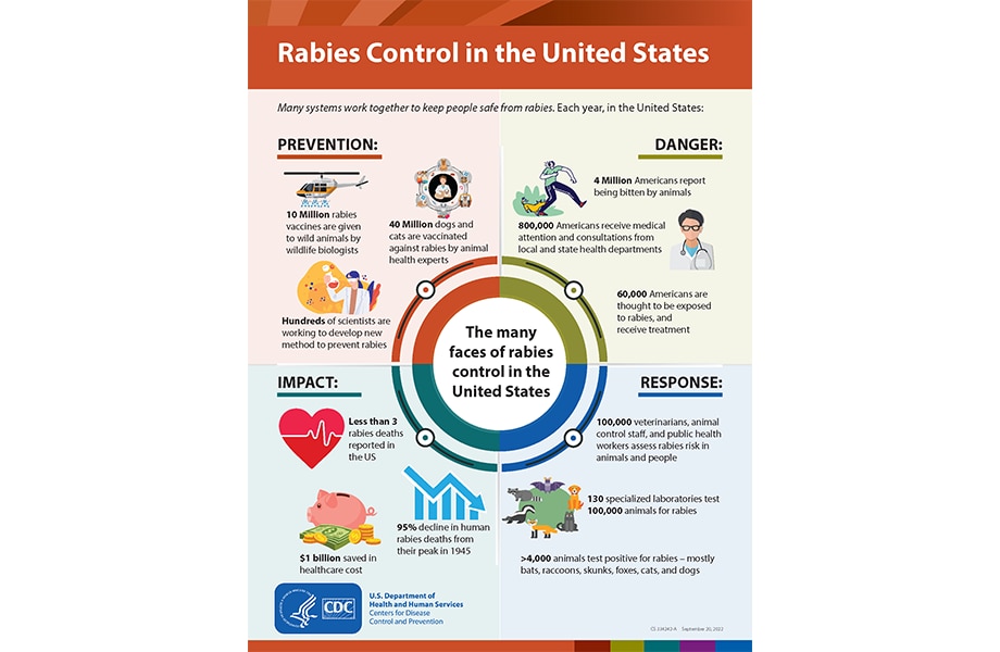 Rabies control thumbnail