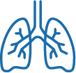 Icon of human lungs