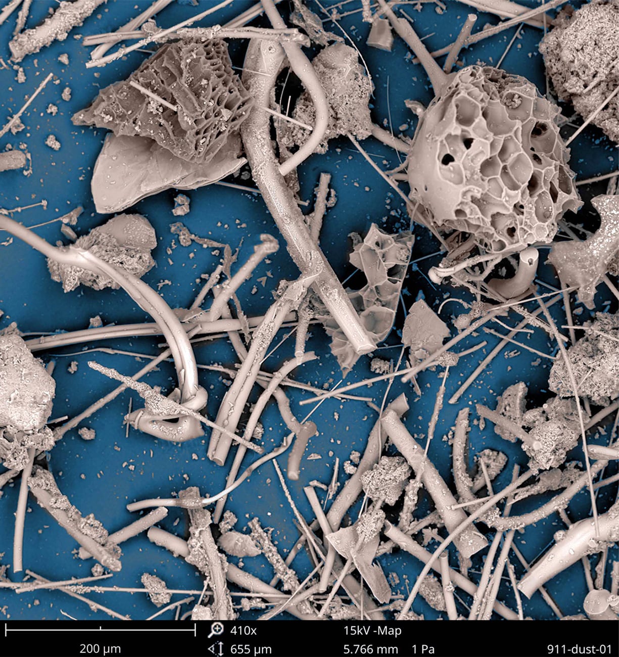 Dust from ground zero magnified under a scanning electron microscope