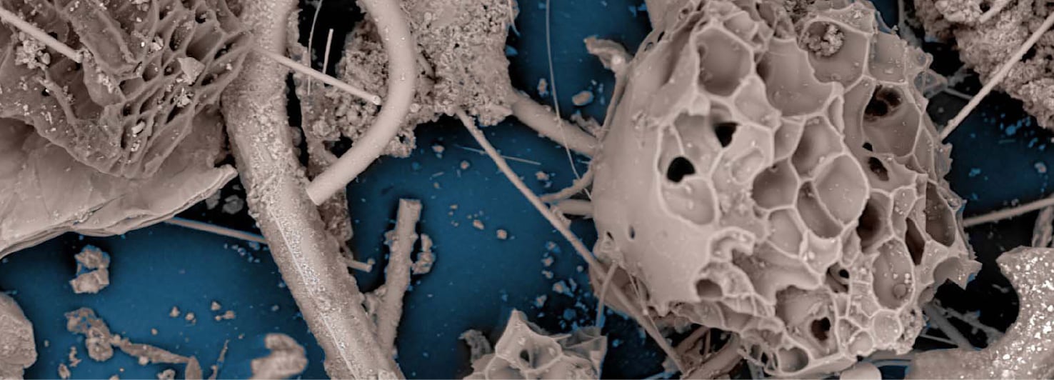Dust from ground zero magnified under a scanning electron microscope