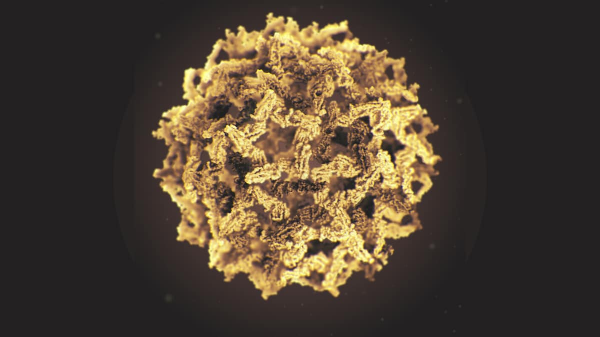 Yellow fever virus image