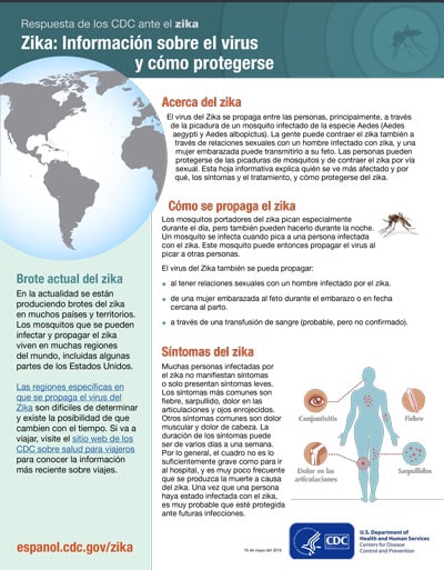 El zika: información general sobre el virus y cómo protegerse
