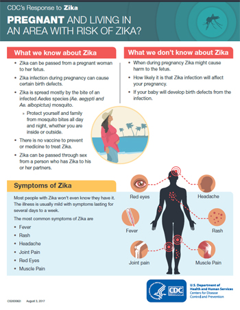  Infographic: Pregnant and living in an area with Zika?