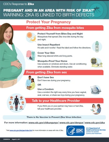 Pregnant? Protect your pregnancy infographic thumbnail