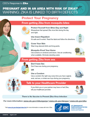  Pregnant? Protect your pregnancy infographic thumbnail