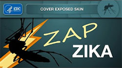 Zap Zika