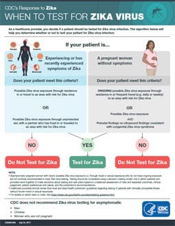 Infográfico: Quando fazer o teste de zika