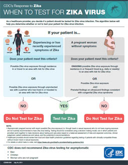  When to test Zika infographic