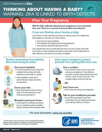 ¿Está pensando en quedar embarazada? Vista en miniatura de la hoja informativa Planifique su embarazo