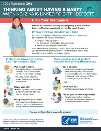  Thinking about having a baby? Plan your pregnancy fact sheet thumbnail