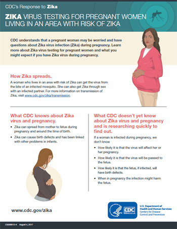 Zika virus testing for pregnant women living in an area with Zika factsheet thumbnail.