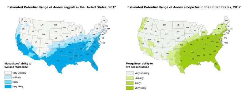 Dois mapas dos Estados Unidos mostrando onde mosquitos Aedes aegypti e Aedes albopictus são ou foram encontrados anteriormente. O alcance estimado do Aedes aegypti está restrito à metade sul dos EUA O alcance do Aedes albopictus compreende a metade leste dos EUA, bem como o sudoeste.