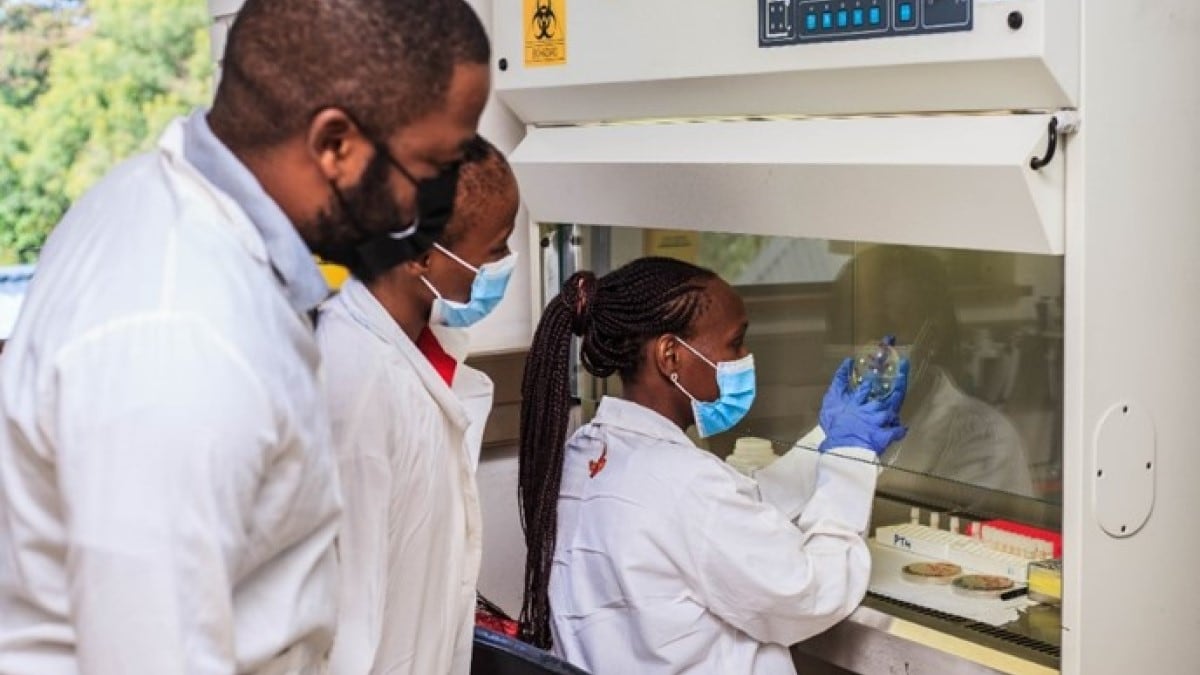 ARCH project Botswana lab team processes sample