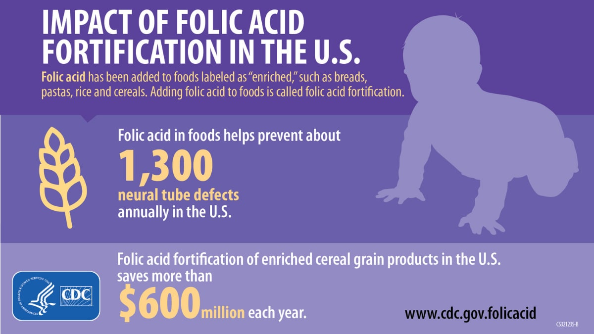 Purple infographic with text reading "Impact of folic acid fortification in the U.S." and " Folic acid in foods helps prevent about 1,300 neural tube defects annually in the U.S."