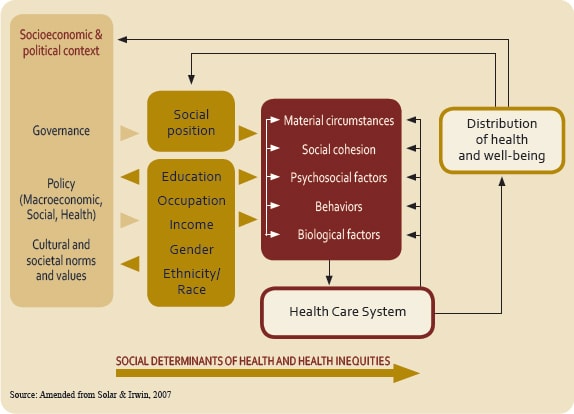 World Health Organization's Social Determinants of Health Framework. 