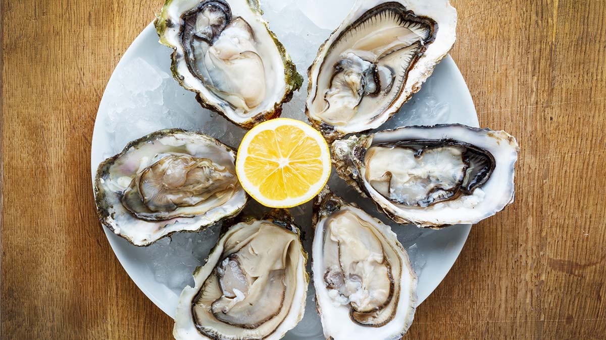 Raw oysters on a plate with lemon.